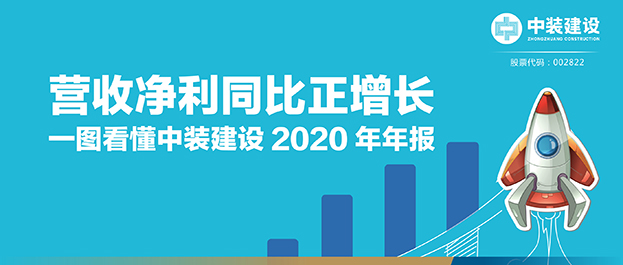 营收净利同比正增长|一图看懂乐动平台(中国)官方网站2020年年报